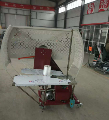 PE-100D Carton Box Strapping Machine